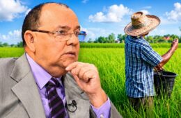Carlos Segura Foster advierte deterioro en el sector arrocero y caída de los préstamos agrícolas
