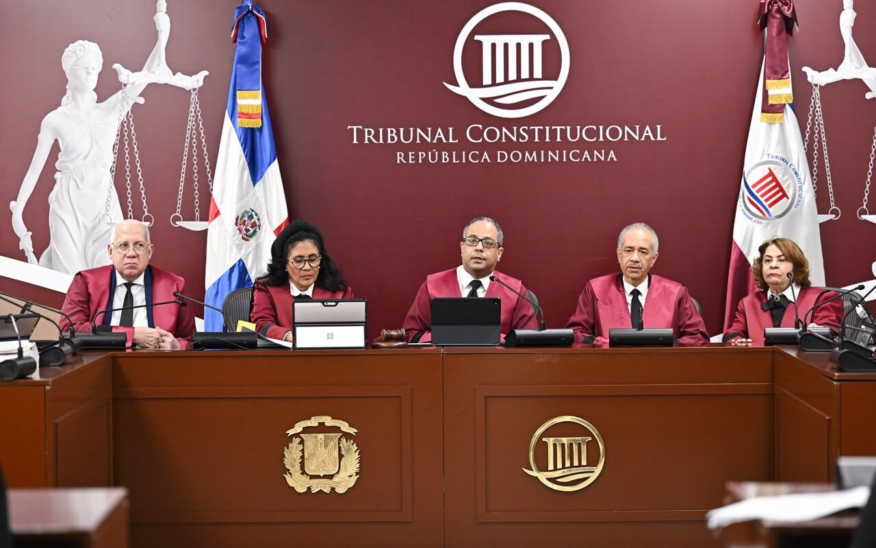 Tribunal Constitucional conoce recurso de revisión en audiencia pública de amparo